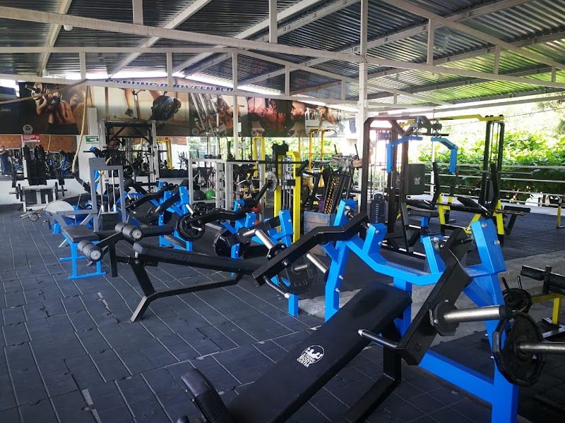 GIMNASIO STRONG BODY Y TIENDA SALUDABLE
