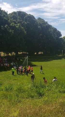 Coliseo - Granja Municipal