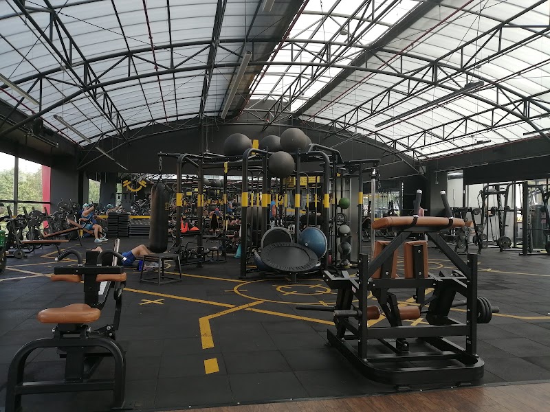 Stark Smart Gym 134