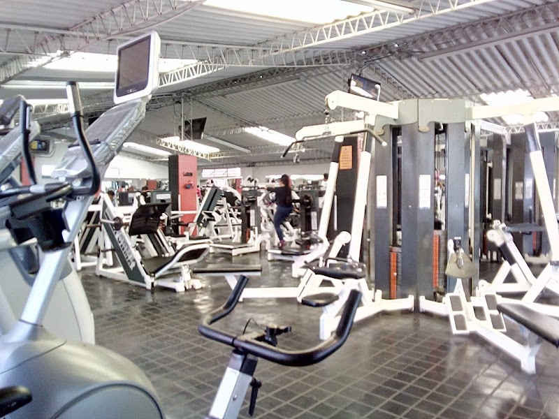 SPORT BODY