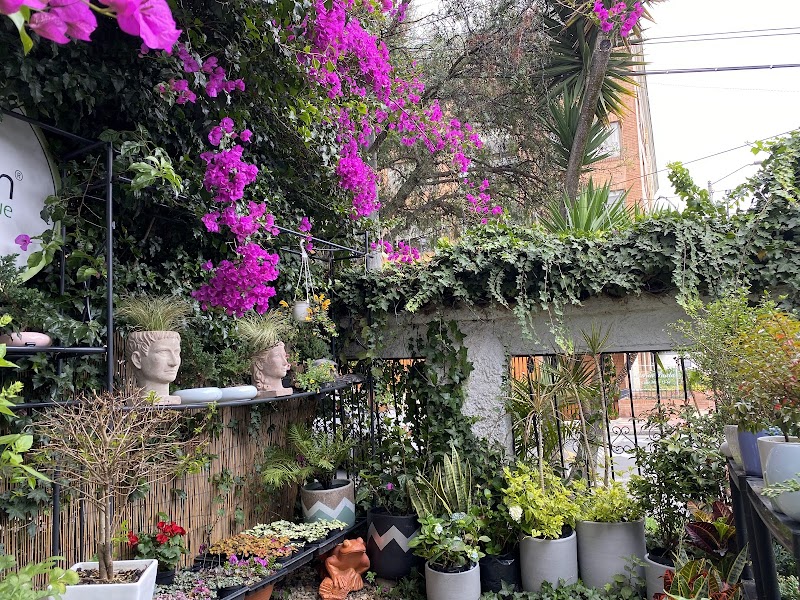 MY GARDEN BOUTIQUE