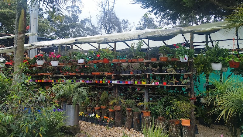 Vivero el portal del eden