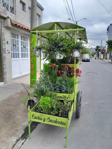 Vivero kinzha garden