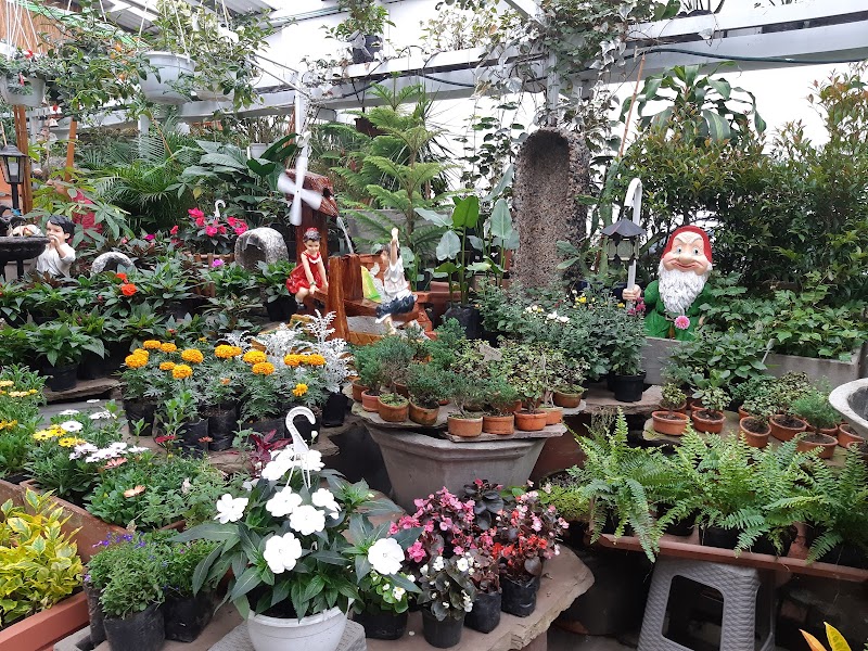 Materarte Vivero