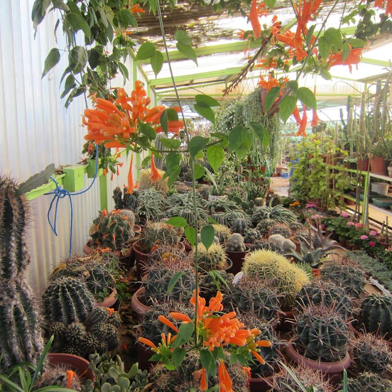 vivero la terraza