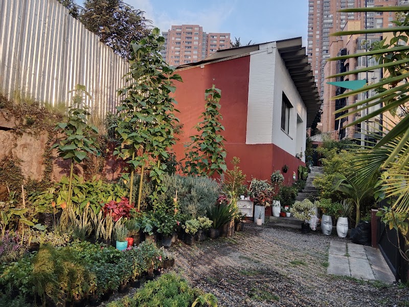 VIVERO FIGUEROA