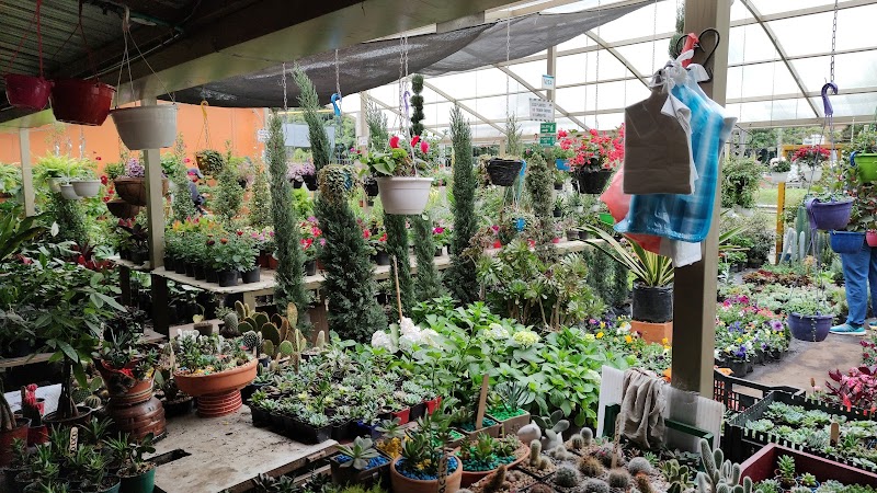 Vivero Montearroyo