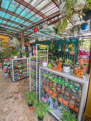 Vivero Casa Colonial