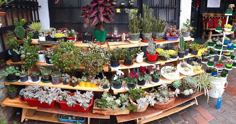 Vivero Entre Flores