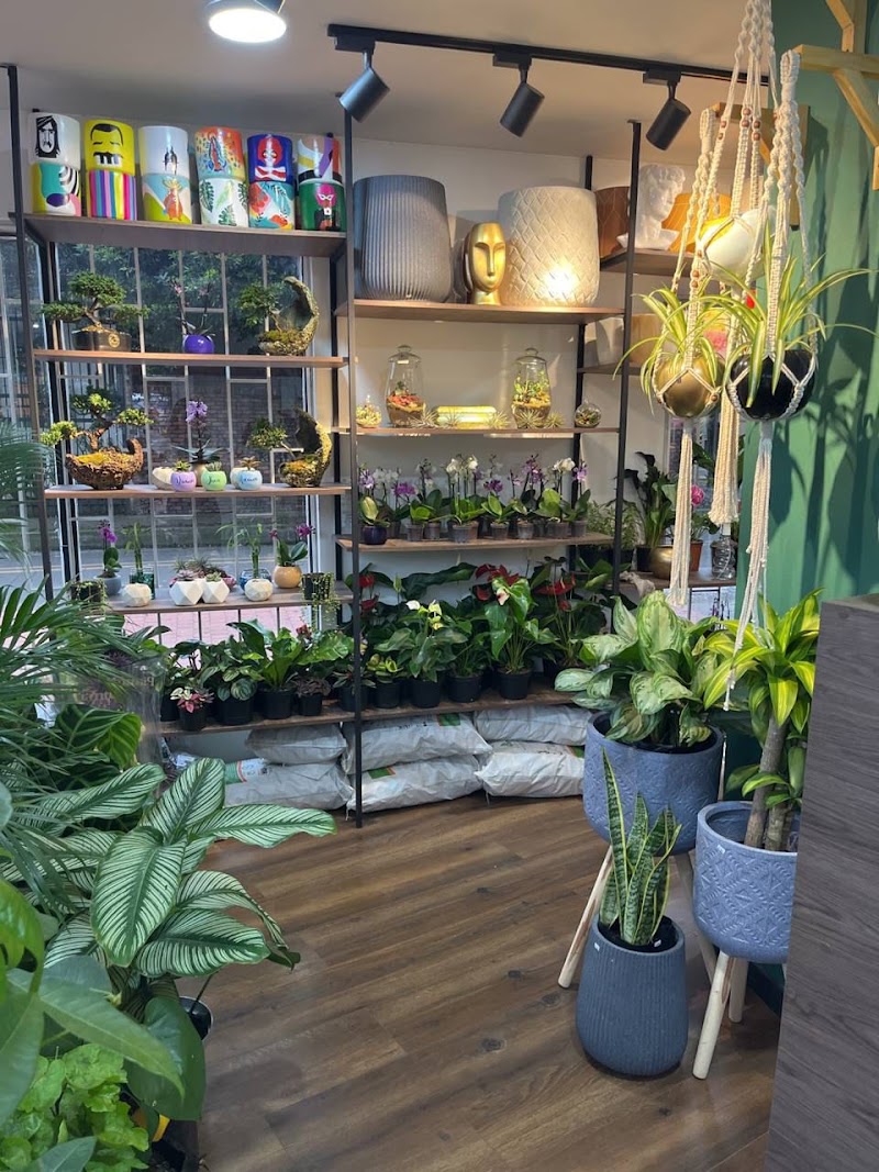 Verdeland - Plantas, Macetas, Jardinería Express y Detalles Corporativos.