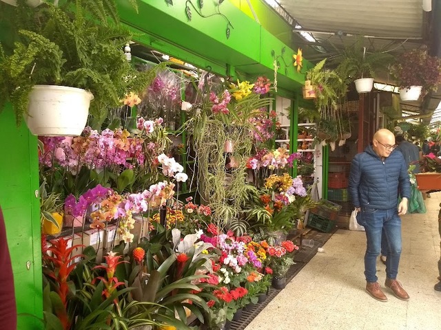 Vivero Las Orquideas