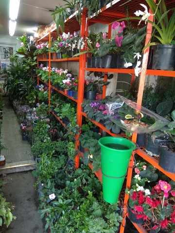 Vivero Jardín Estherlis