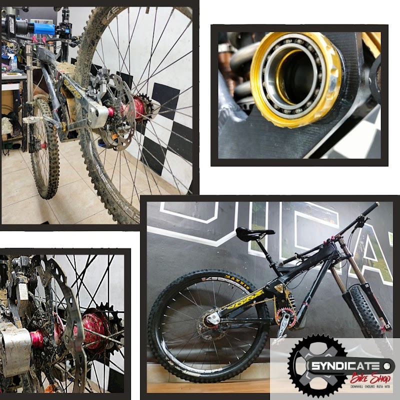 Syndicate bike