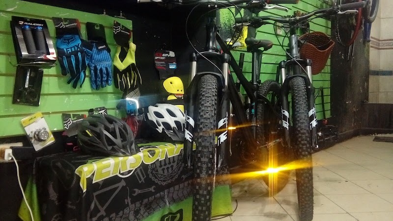 Taller y almacén de bicicletas Personality bikes
