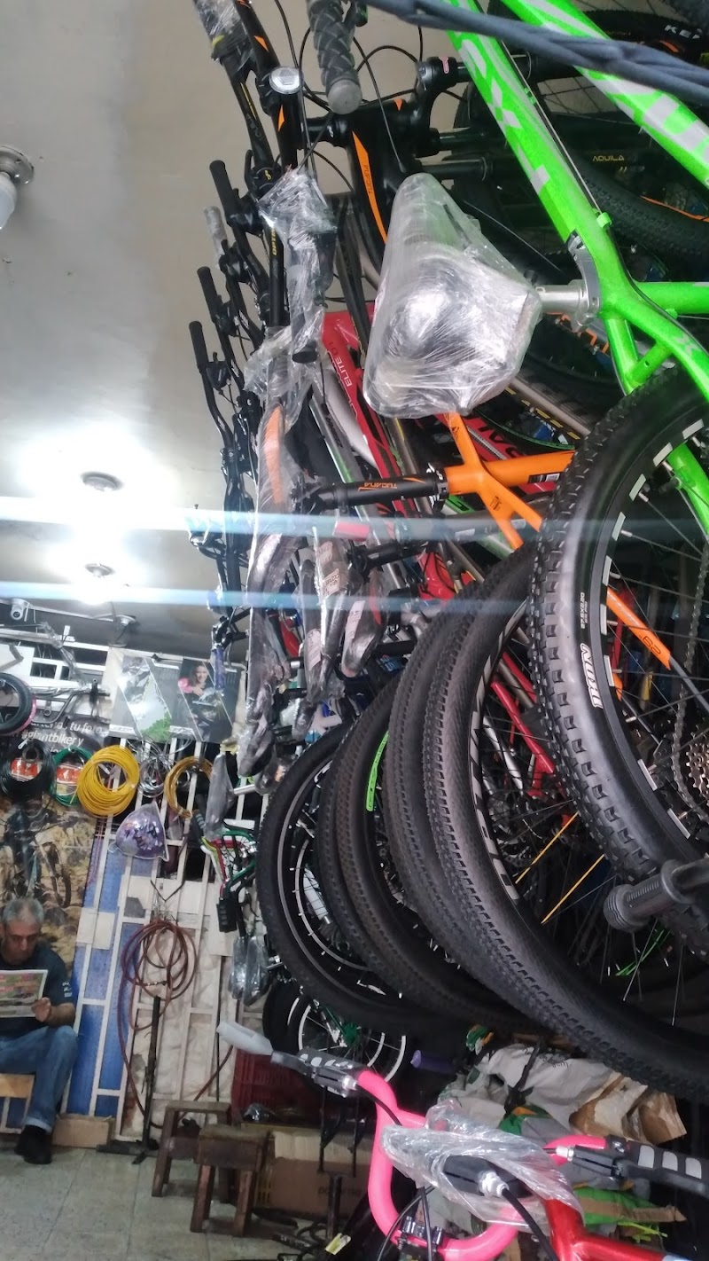 casa bikes