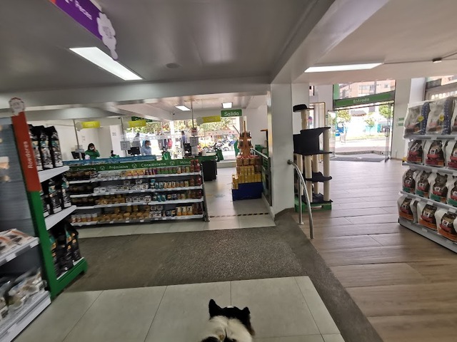 Animals Tienda Pepe Sierra