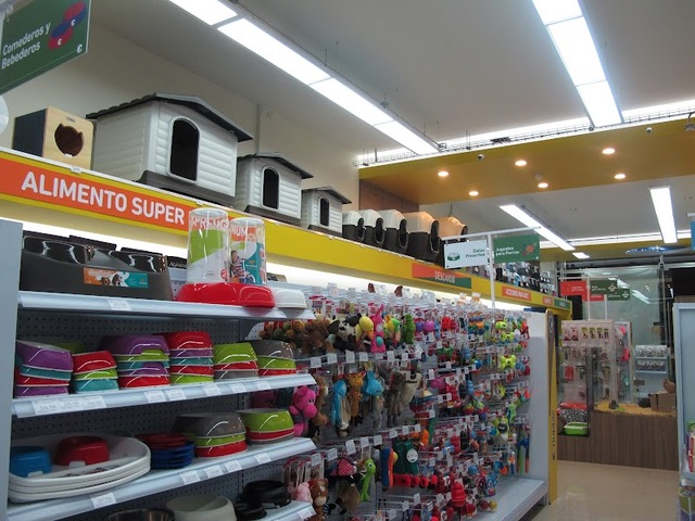 Puppis Santa Bárbara 122