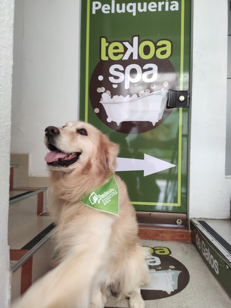 Tekoa Pet Store