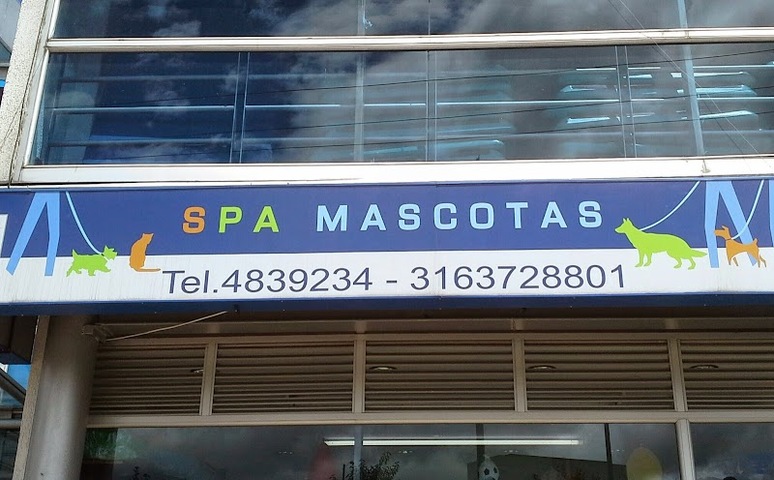 Spa Mascotas