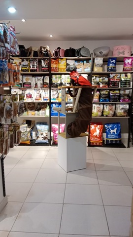 Mellow by Natalia Ospina