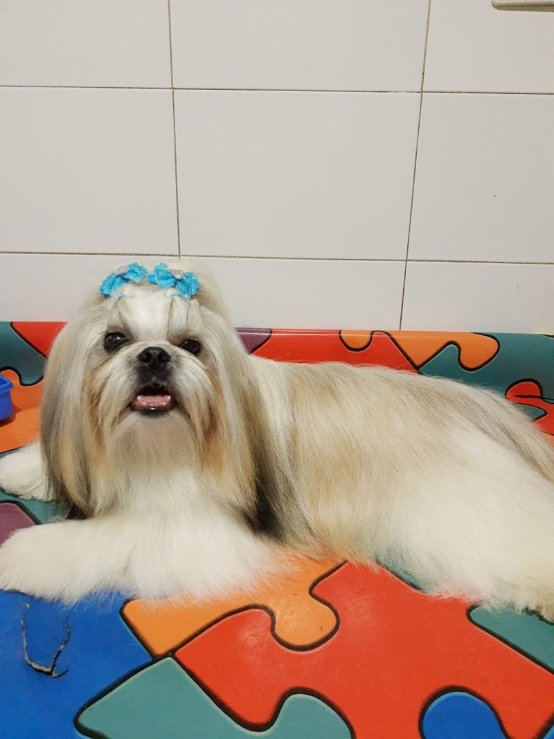 SupermarPet 116
