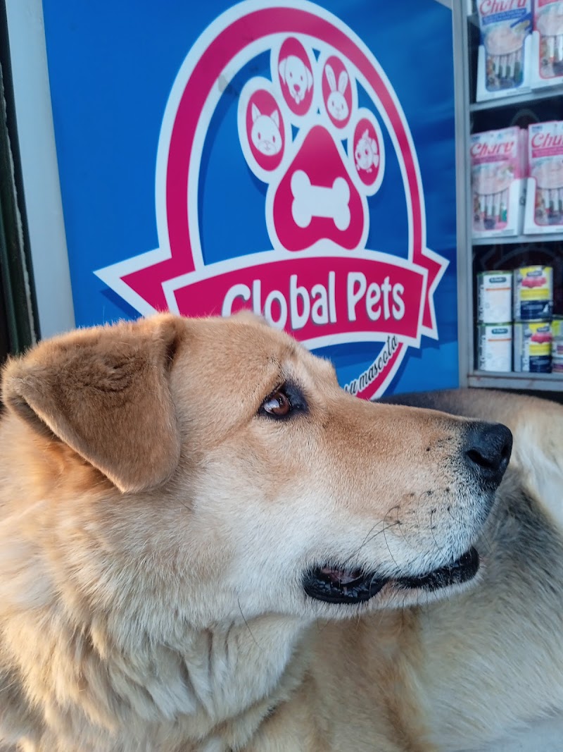 Global Pets