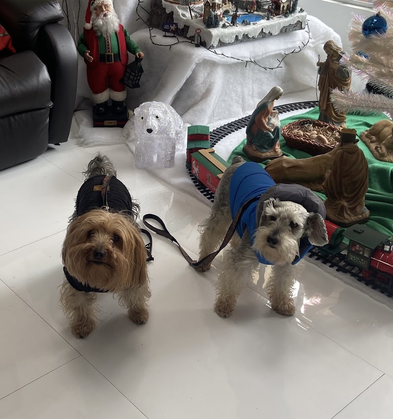 PELUDITOS BARF