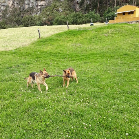 Concentrados Del Norte