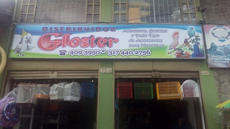 Distribuidor Gloster