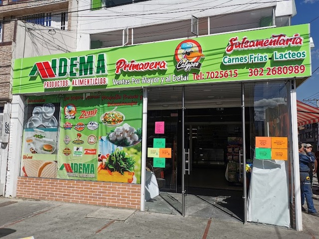 SALSAMENTARIA IIDEMA PRIMAVERA