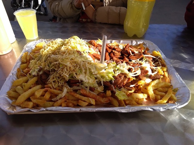 PERRO MONO QUIRIGUA ®