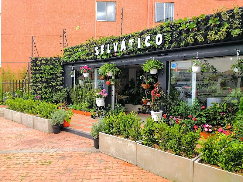 VIVERO SELVATICO