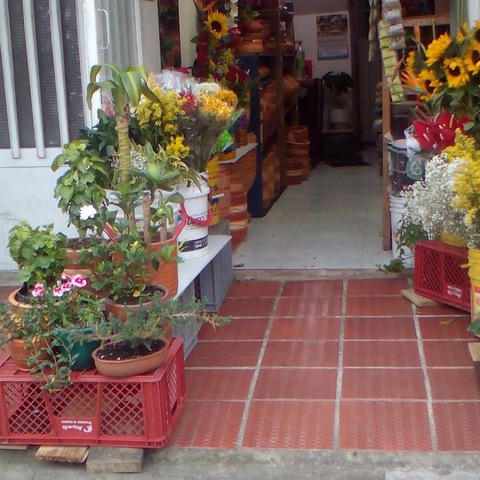 Mi Exito Vivero Jardineria y Floristeria