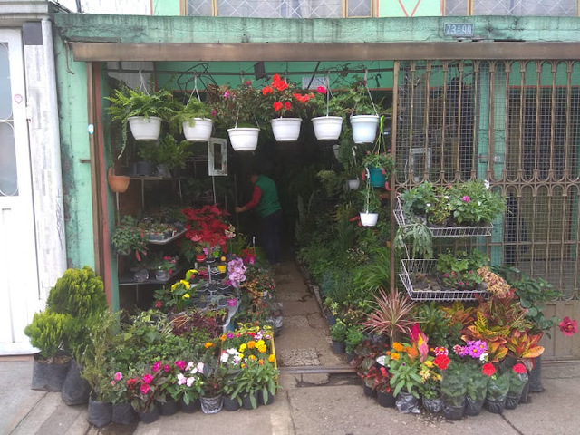 Vivero Aves del Paraiso