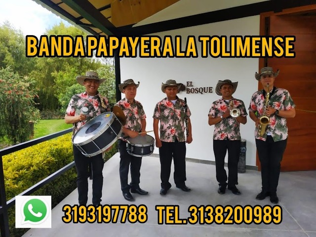 Papayeras En Bogotá Ritmo y Sabor Tolimense - Papayeras Bogota - Bandas Papayeras En Bogota - Papayeras