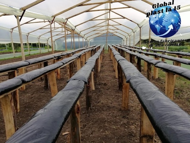 GLOBAL PLAST LA 15 S.A.S