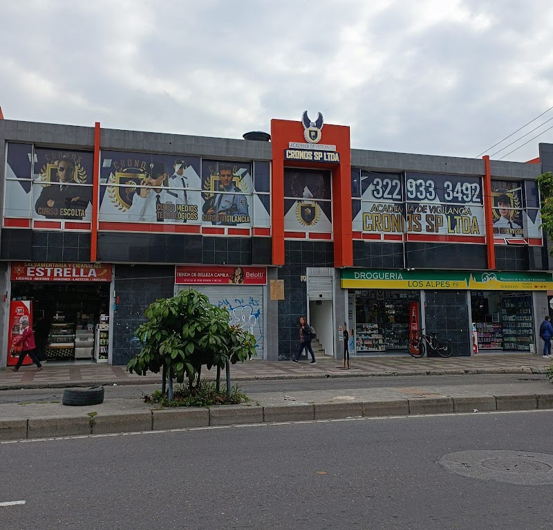 ACADEMIA DE VIGILANCIA CRONOS SP LTDA