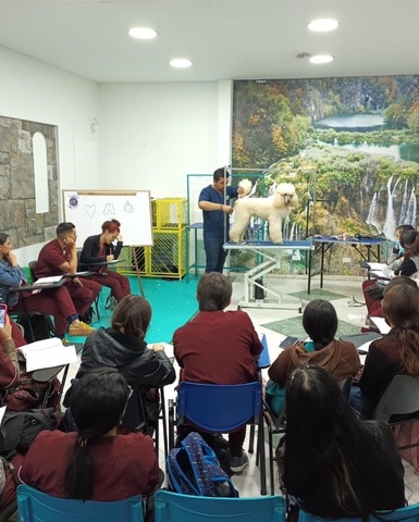 Academia de peluquería canina y felina Martin Silva