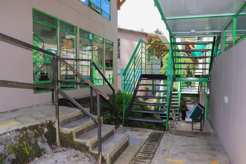 Colegio Monterrosales Ciclos