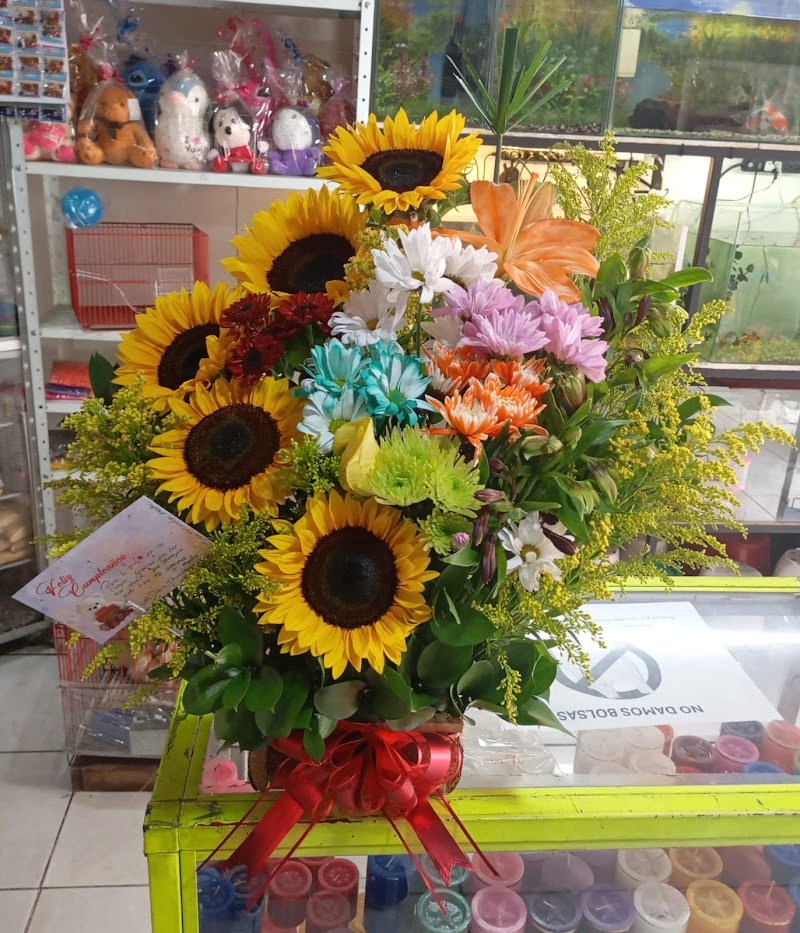 Floristería Maju