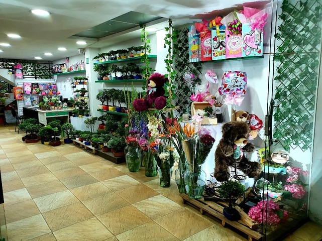 Floristería La Colina en Bogotá, arreglos florales para toda ocasión, arreglos fúnebres, venta de Bonsais