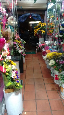 Floristería San Nicolas