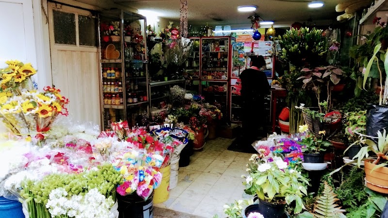 Floristería Lily