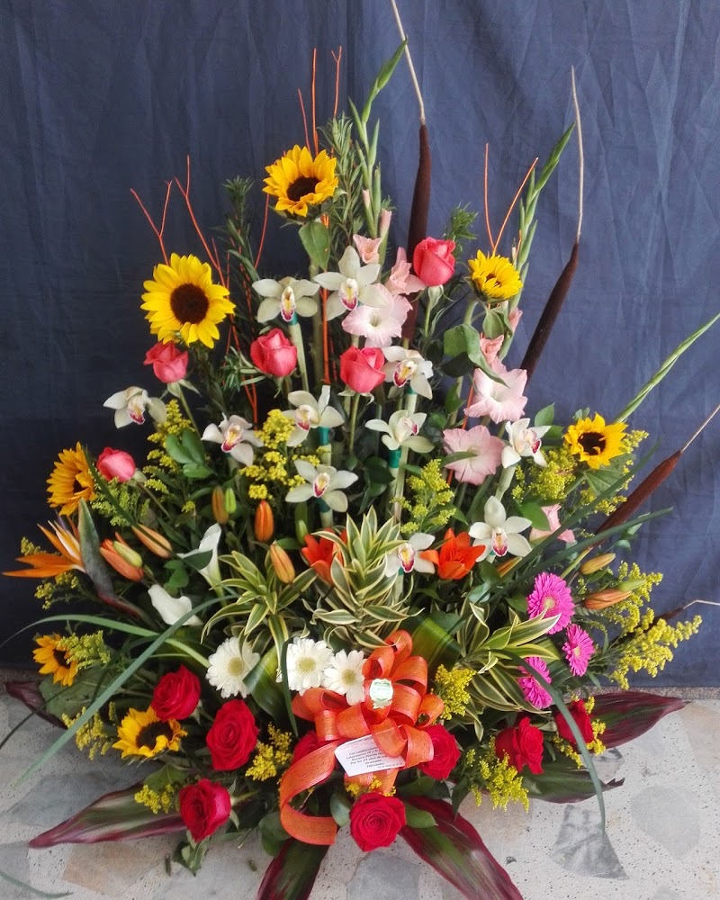 Floristería Baccara