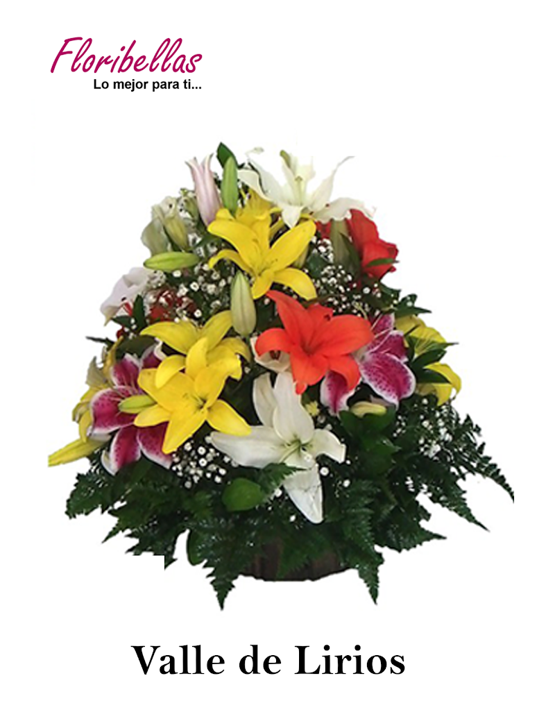 Floristería Floríbellas - Suba Rincón Naranjos