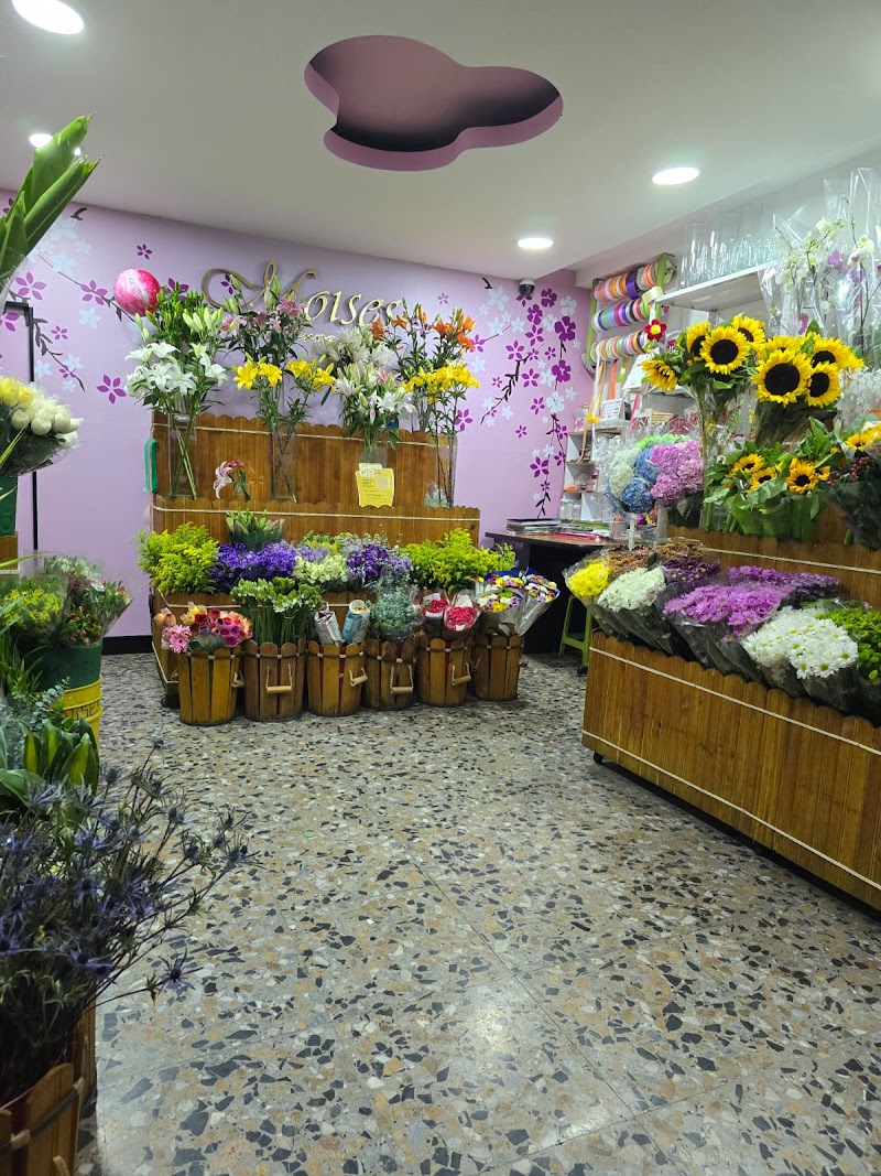 Floristería Moisés