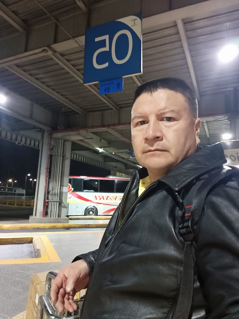 Taxis Verdes Terminal Sur