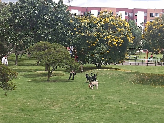 Bosque de Hayuelos Park
