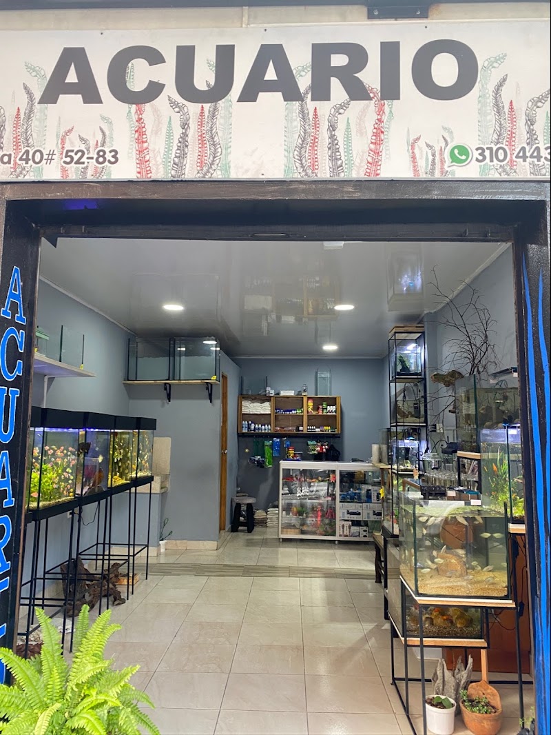 ACUARIO ACUAART