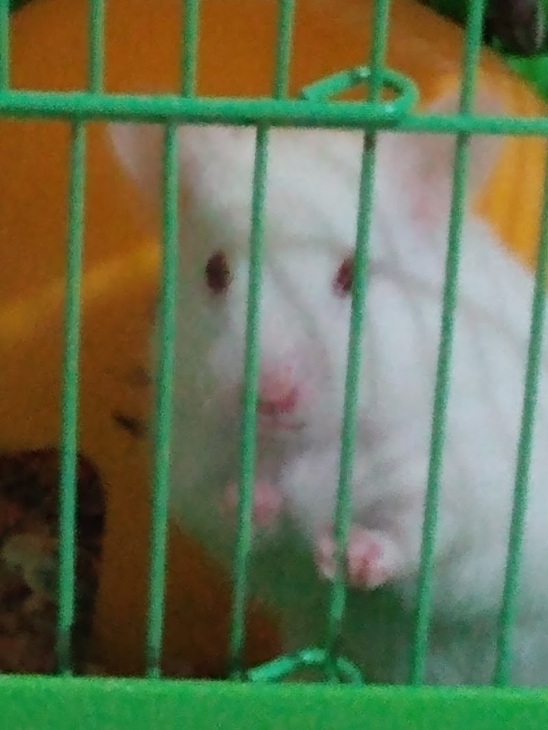 Tienda de mascotas